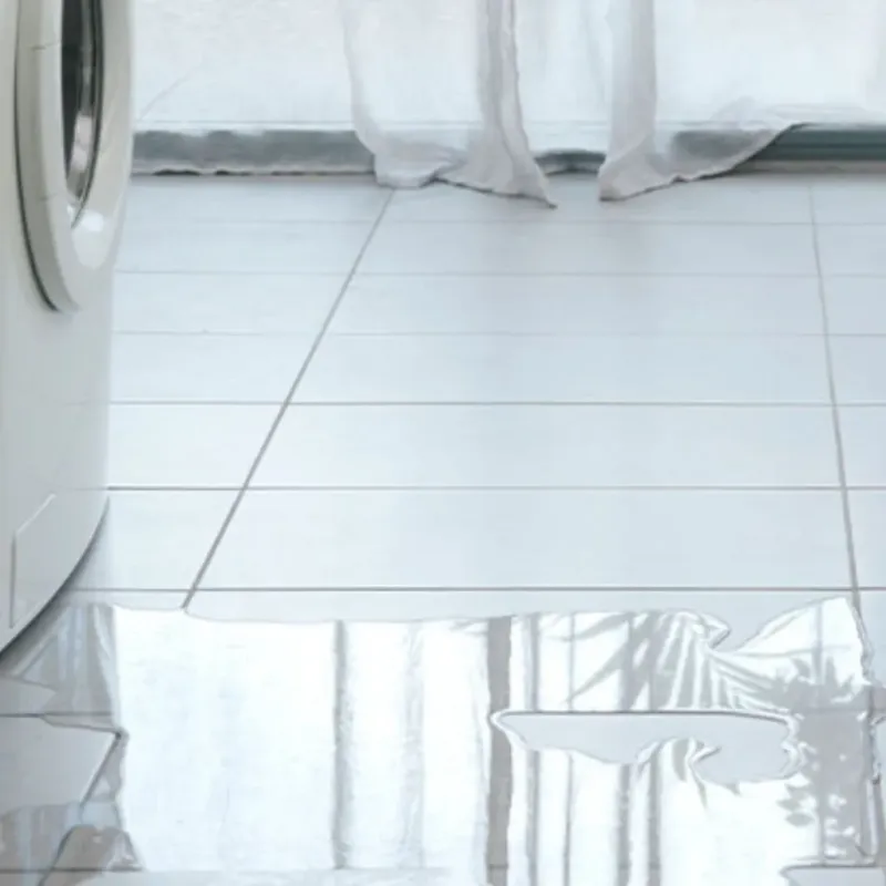 Appliance Leak Cleanup in Edina, MN