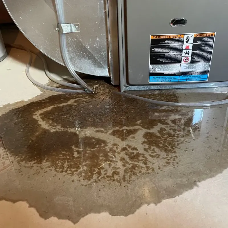 Pipe Burst and Leak Restoration in Edina, MN